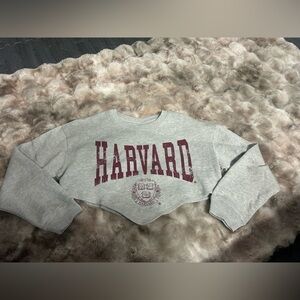 NWOT Harvard Gray Cropped Sweater
